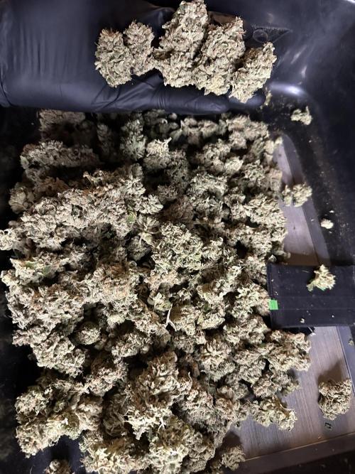 Zkittlez Cake x Chillz #8. Week 14