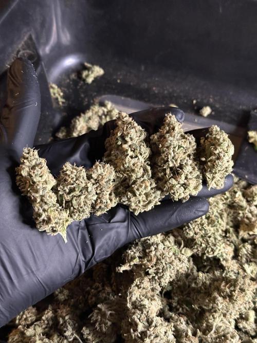 Zkittlez Cake x Chillz #8. Week 14