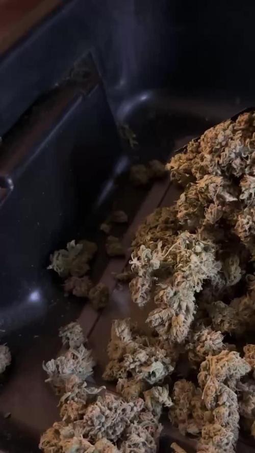 Zkittlez Cake x Chillz #8