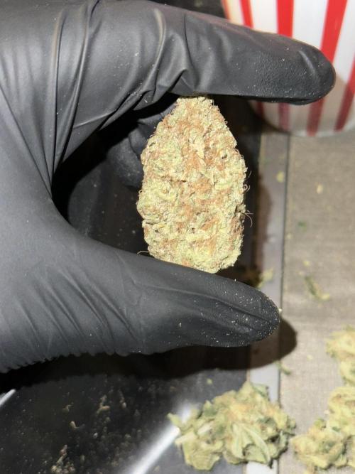 Star Punch 🥊 (Hybrid). Week 10