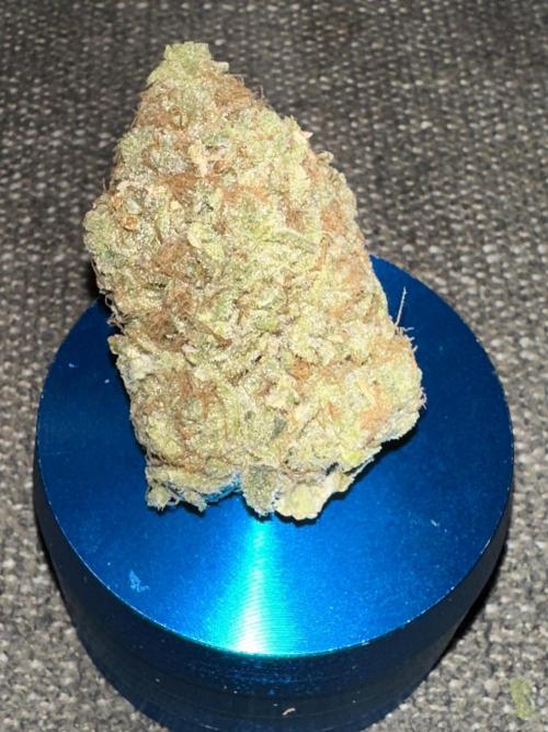 Star Punch 🥊 (Hybrid). Week 10