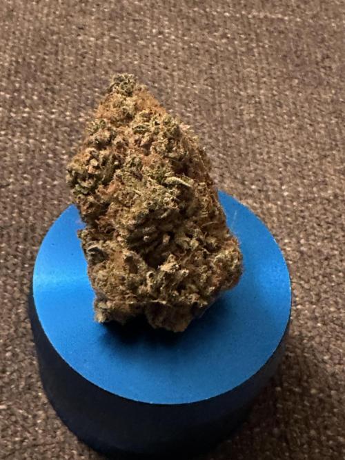 Star Punch 🥊 (Hybrid). Week 10