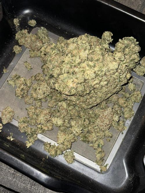 Star Punch 🥊 (Hybrid). Week 10