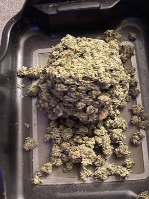 Star Punch 🥊 (Hybrid). Week 10