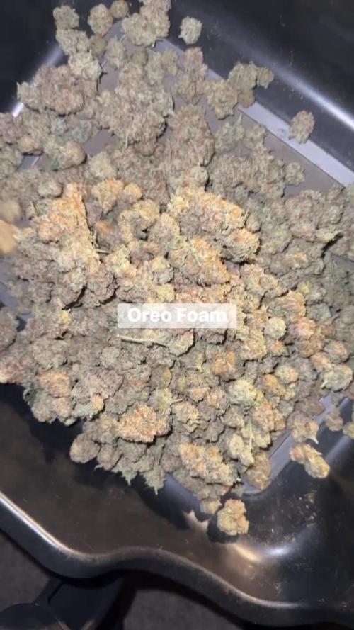 Oreoz Foam