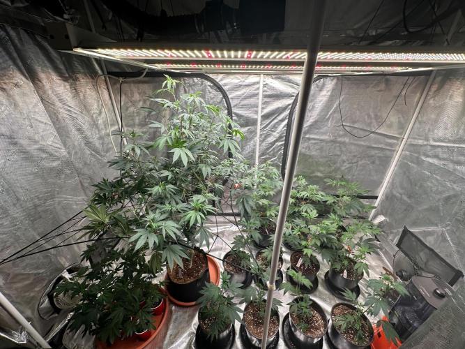 Double Dunked. Week 9