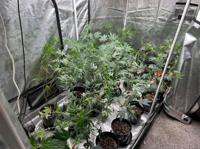 Double Dunked. Week 12