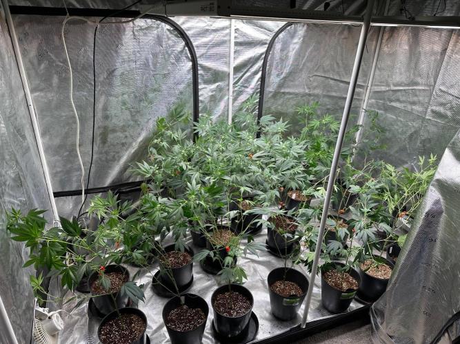 Double Dunked. Week 12