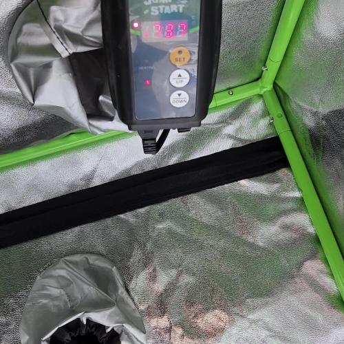 Blimburn Purple Star Killer Outdoor