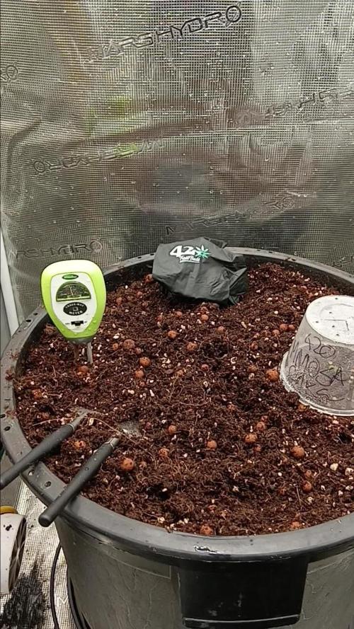 Tj_Greens76