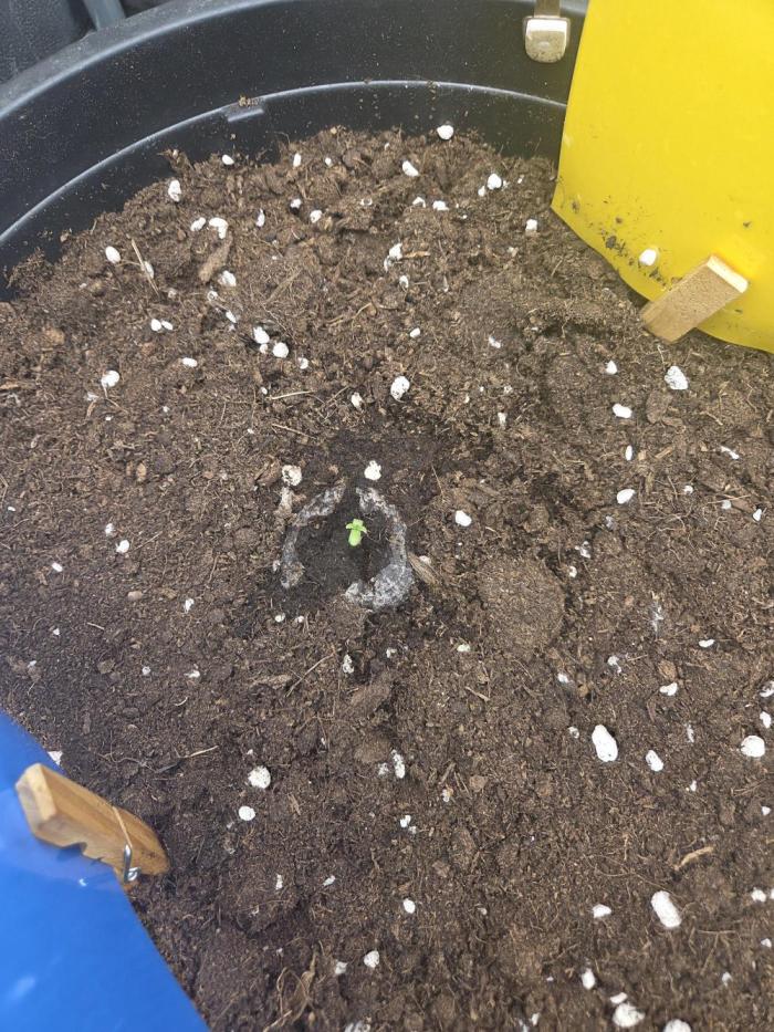 Mini setup. Week 1 - Primo giorno.