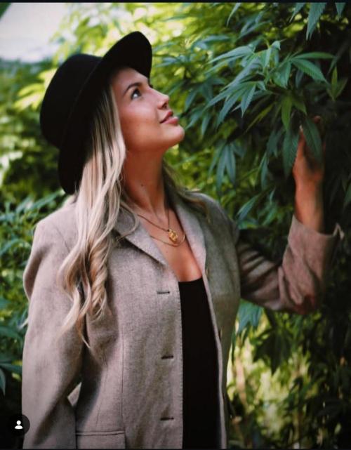 California Haze Humboltd Company. Week 34