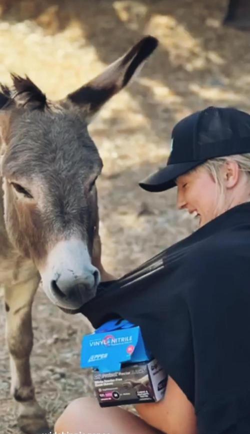 California Haze Humboltd Company. Week 34