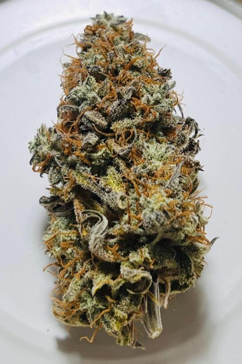 RQS Milky Way F1. Week 11