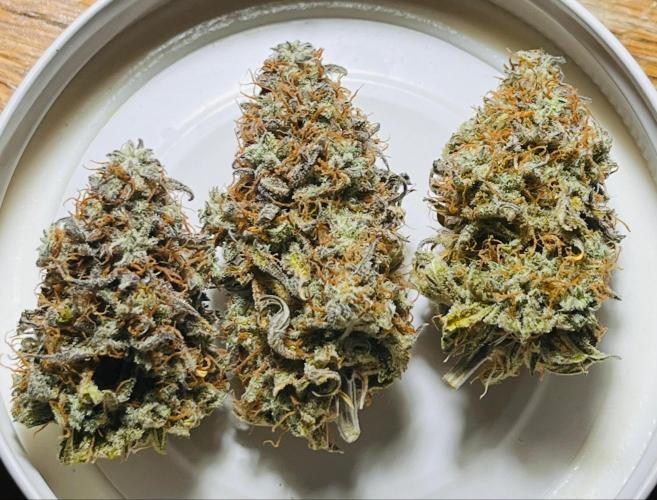 RQS Milky Way F1. Week 11