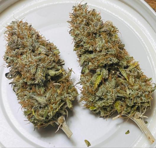 RQS Milky Way F1. Week 11