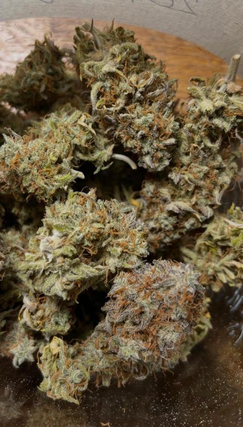 RQS Milky Way F1. Week 11