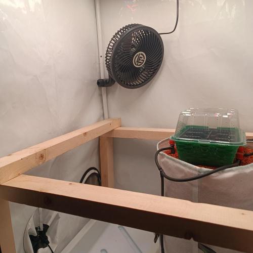 Let's Fucking Grow. Week 0