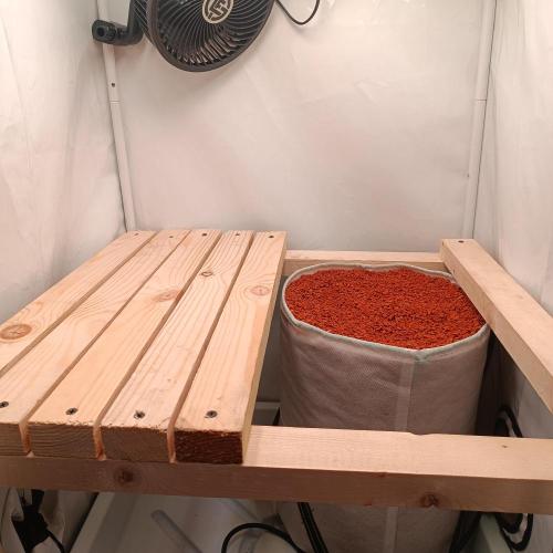 Let's Fucking Grow. Week 0