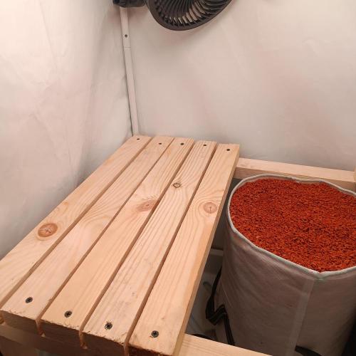 Let's Fucking Grow. Week 0