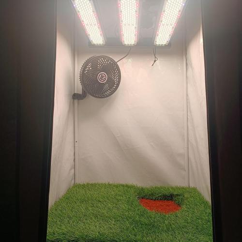 Let's Fucking Grow. Week 0