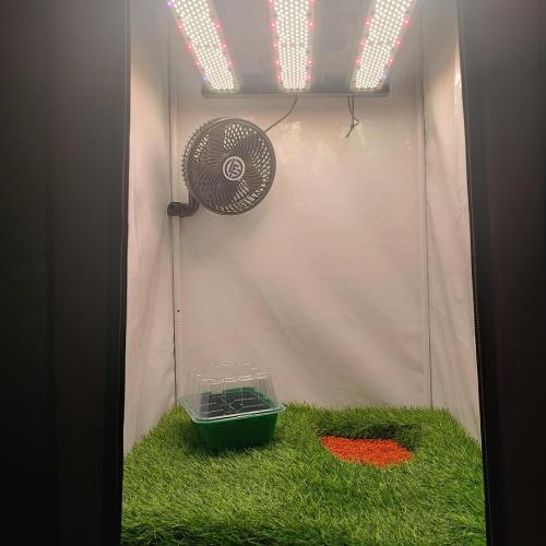 Let's Fucking Grow. Week 0