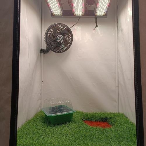 Let's Fucking Grow. Week 0