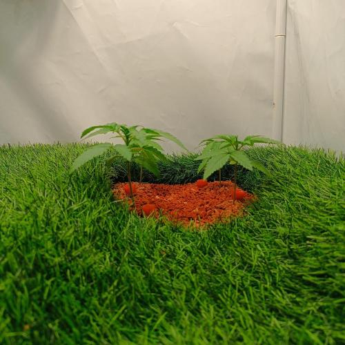 Let's Fucking Grow. Week 3