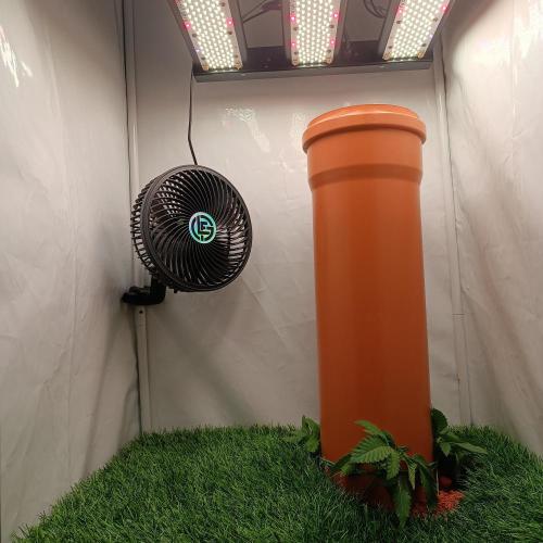 Let's Fucking Grow. Week 3