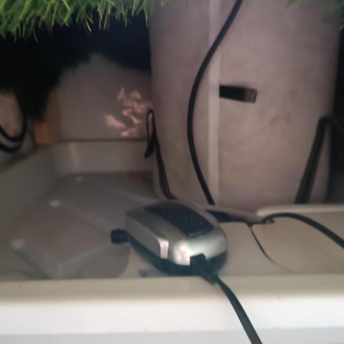 Let's Fucking Grow. Week 3