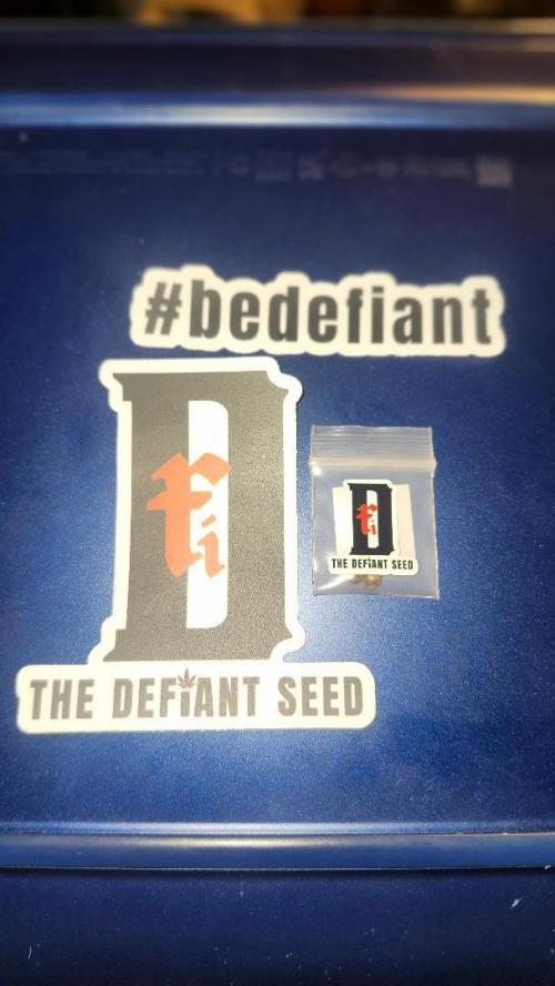 Grow Along (RDO). Week 0 - 01/01