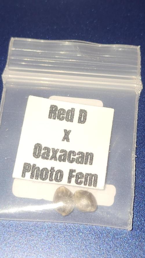 Grow Along (RDO). Week 0 - 01/01