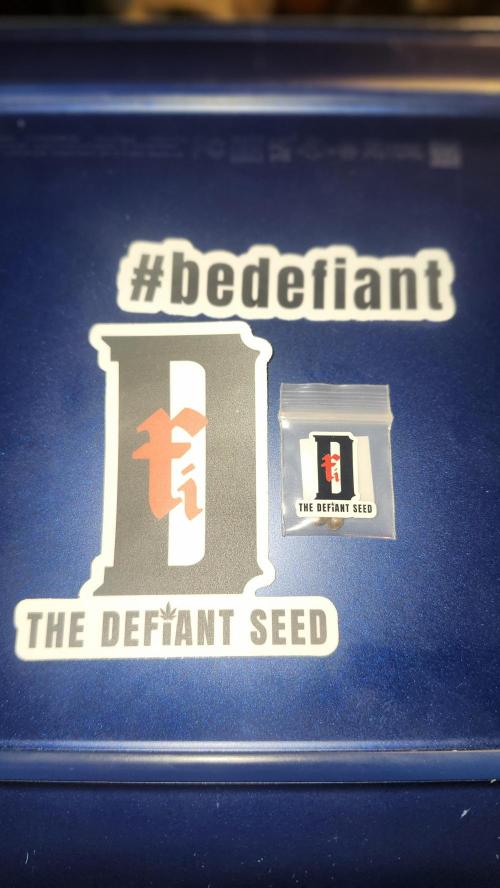 Defiant RDxO (Grow along  Redo). Week 0 - 01/15