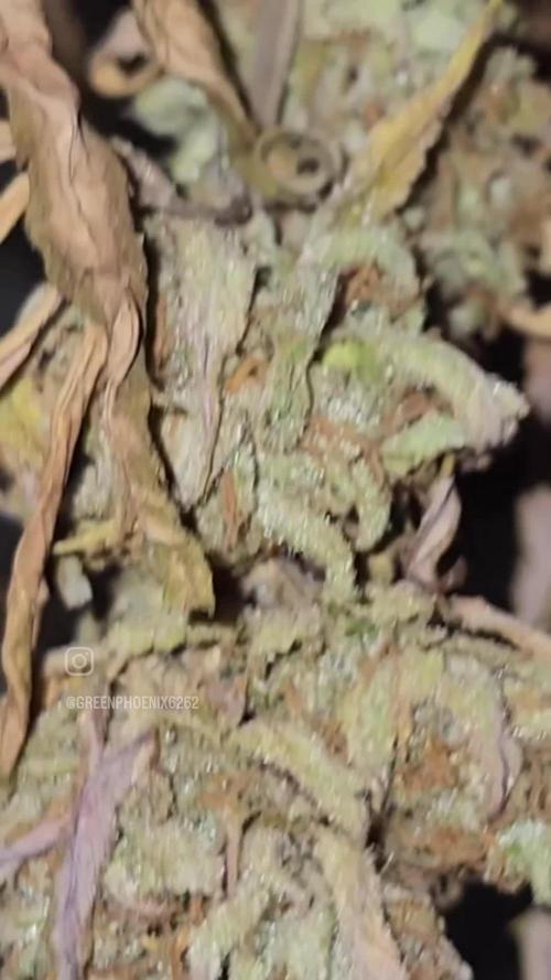 HAZE DRIP!!!