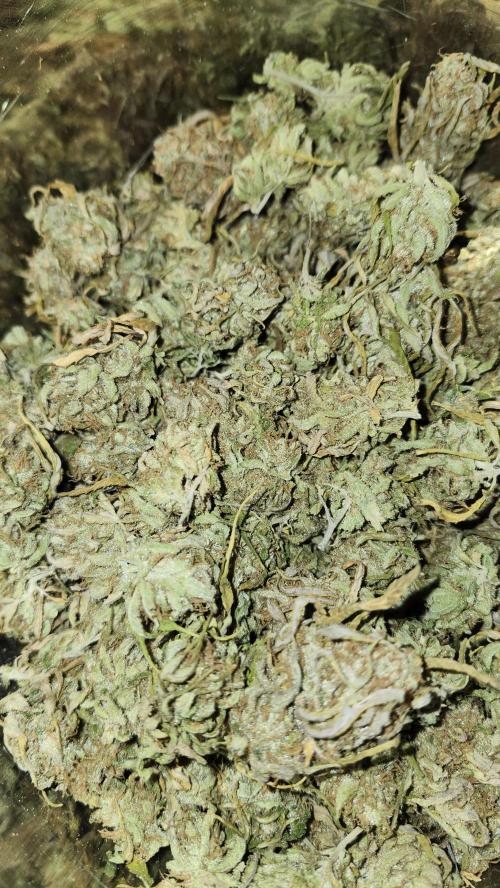 HAZE DRIP!!!. Week 28 - 01/22