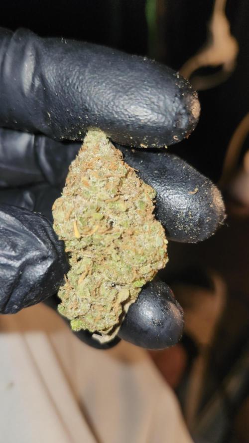 HAZE DRIP!!!. Week 28 - 01/22