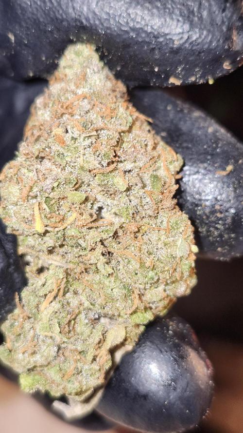 HAZE DRIP!!!. Week 28 - 01/22