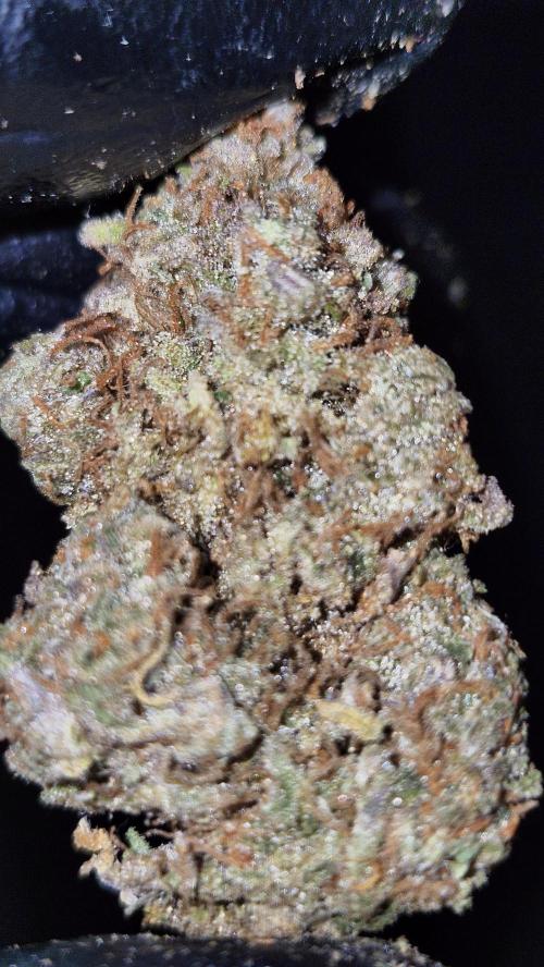 HAZE DRIP!!!. Week 28 - 01/23