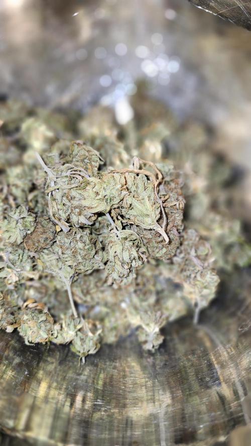 HAZE DRIP!!!. Week 28 - 01/24