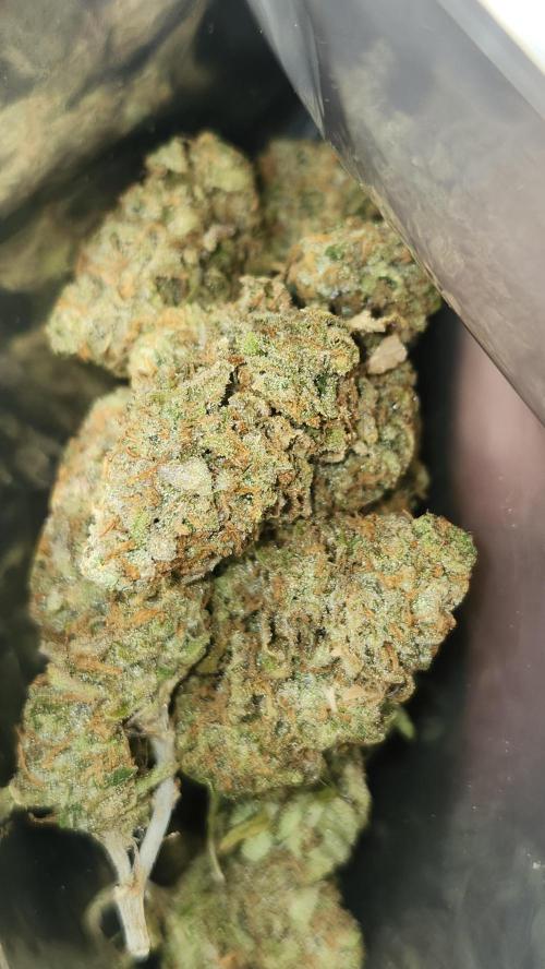 HAZE DRIP!!!. Week 28 - 01/24