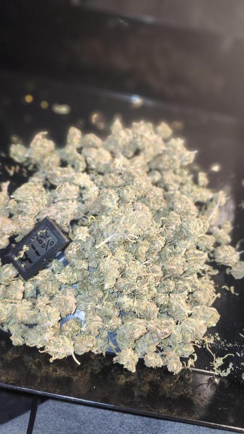 HAZE DRIP!!!. Week 28 - 01/24