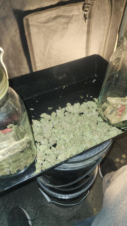 HAZE DRIP!!!. Week 28 - 01/24