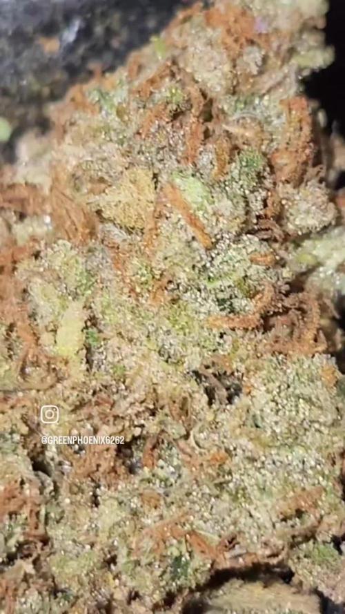 HAZE DRIP!!!