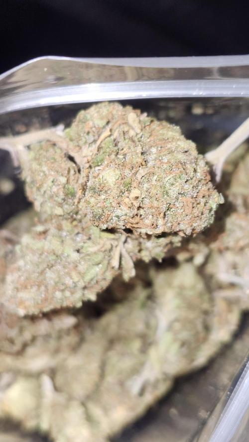 HAZE DRIP!!!. Week 28 - 01/26