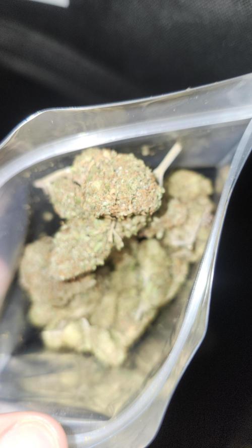 HAZE DRIP!!!. Week 28 - 01/26