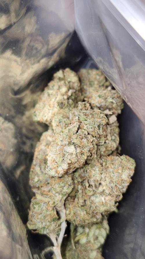 HAZE DRIP!!!. Week 28 - 01/26