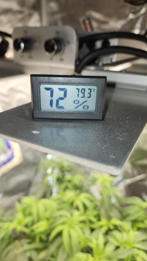 Grapeppy Grape!!. Week 17 - 01/26