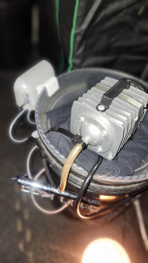 Grapeppy Grape!!. Week 20 - 02 - 15