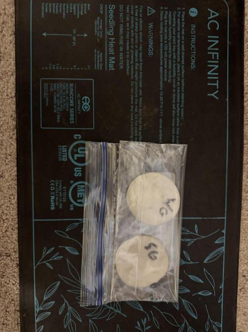 Fast Buds Auto Run. Week 0 - Cotton pad with water for 24 hours