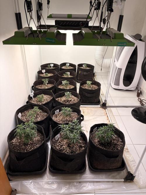 May2026. Week 2